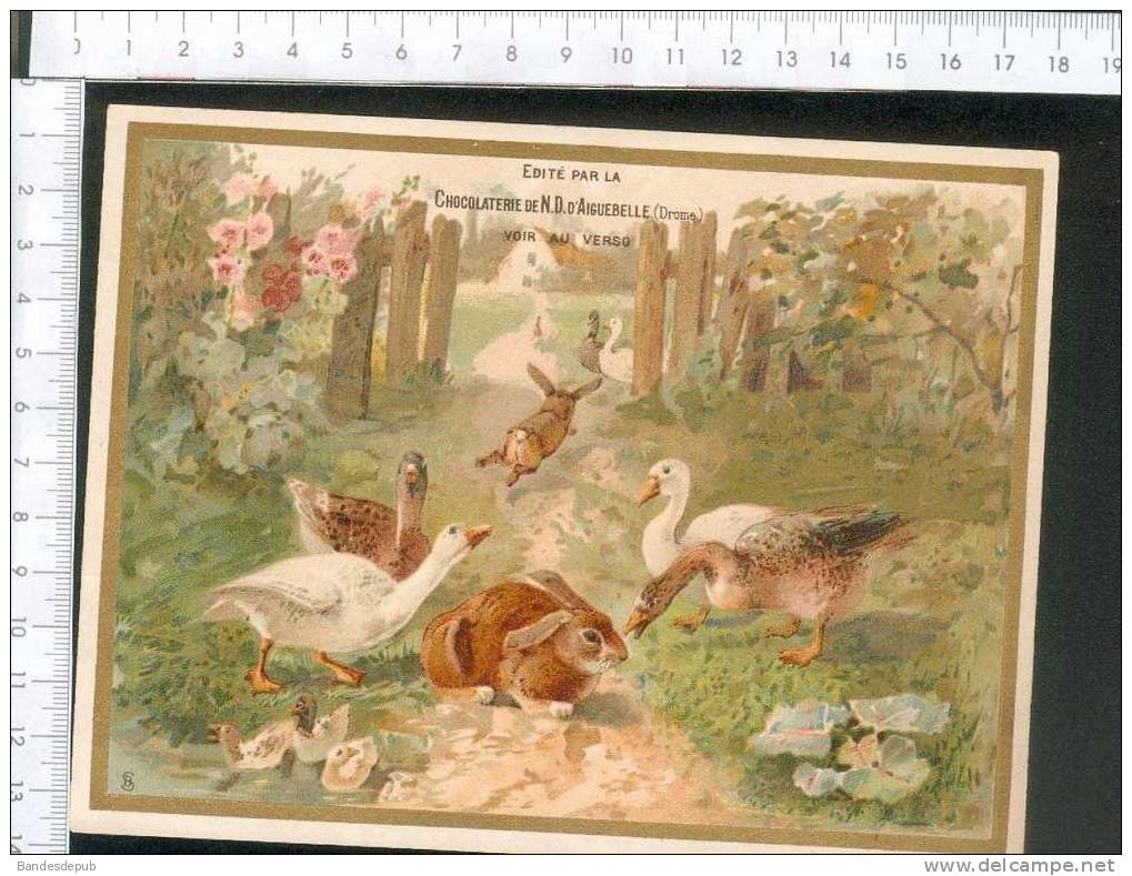 Belle Chromo Grand Format Aiguebelle Canard Lapin - Aiguebelle