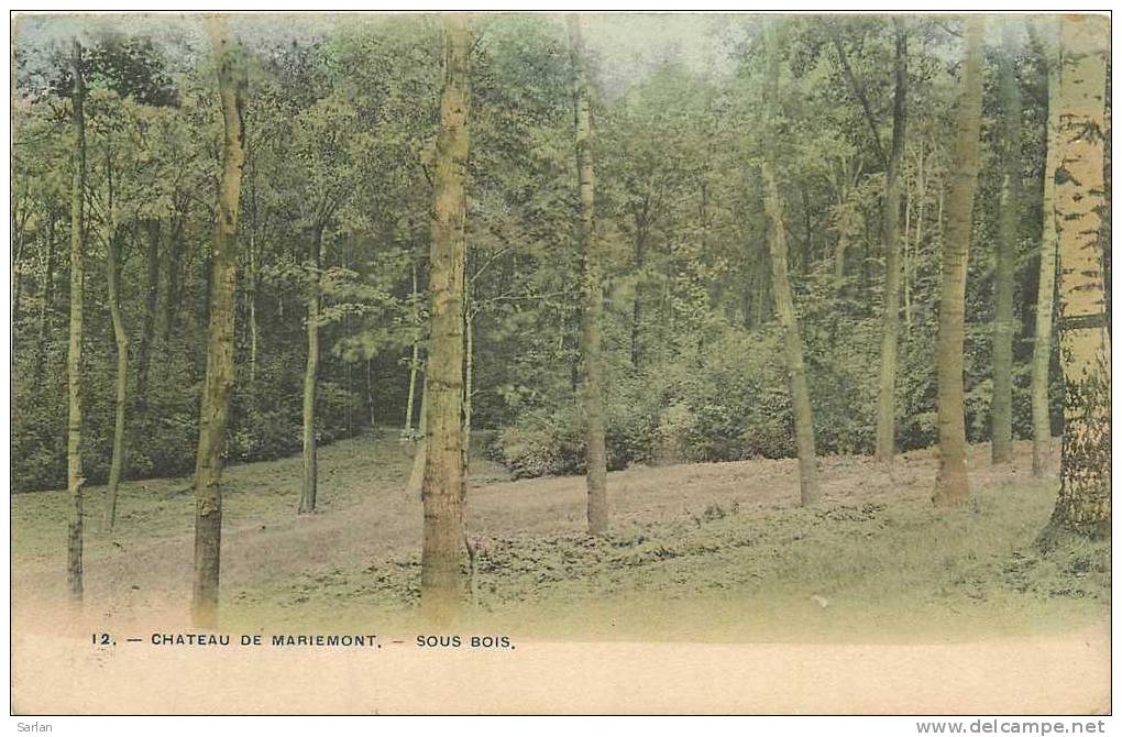 Belgique , MORLANWEILZ-MARIEMONT , Le Chateau , Sous Bois , *10191 - Morlanwelz