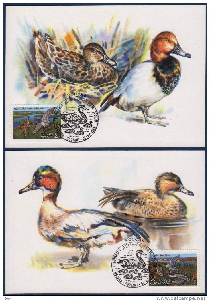 Russsia 1992 3 Maxi Cards Birds Oiseaux Vogel Canard Duck Canards Ducks - Anatre