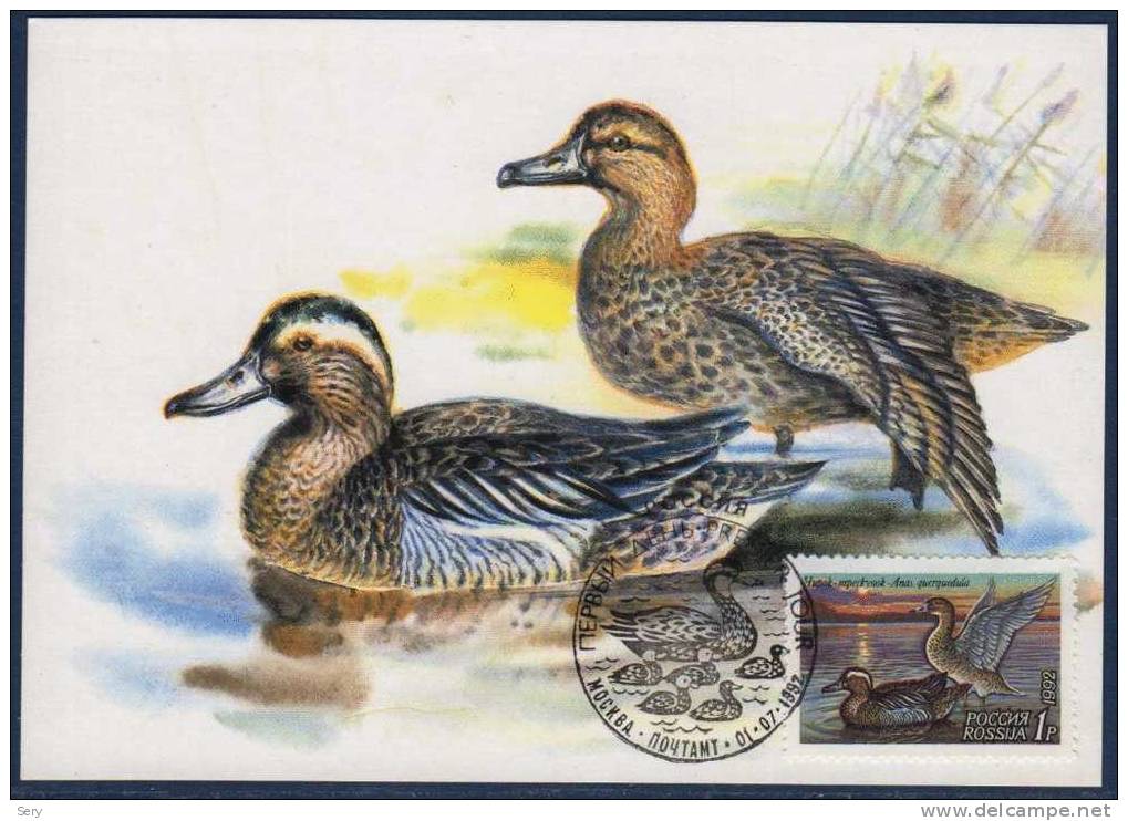 Russsia 1992 3 Maxi Cards Birds Oiseaux Vogel Canard Duck Canards Ducks - Anatre