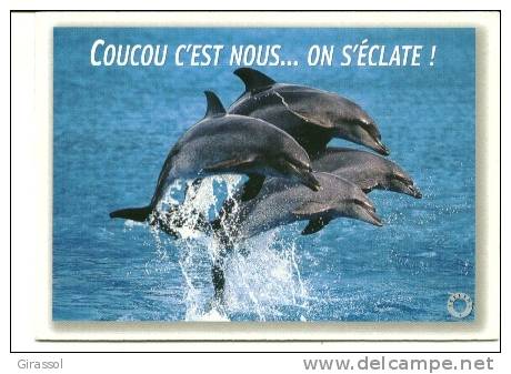 CPM DAUPHIN Coucou C' Est Nous On S ' éclate Photo Bloom - Dolphins