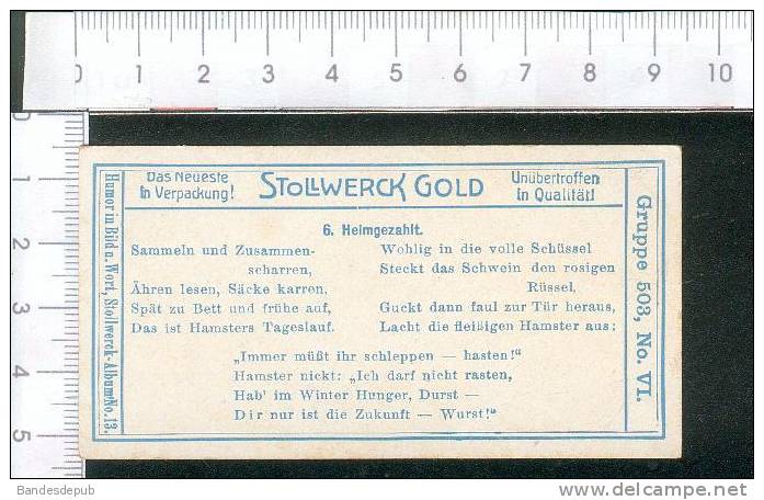 Stollwerck Jolie Chromo Anthropomorphisme Marmotte Brouette - Stollwerck