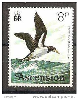 Ascension1976: SEAGULLS 208mnh** - Seagulls