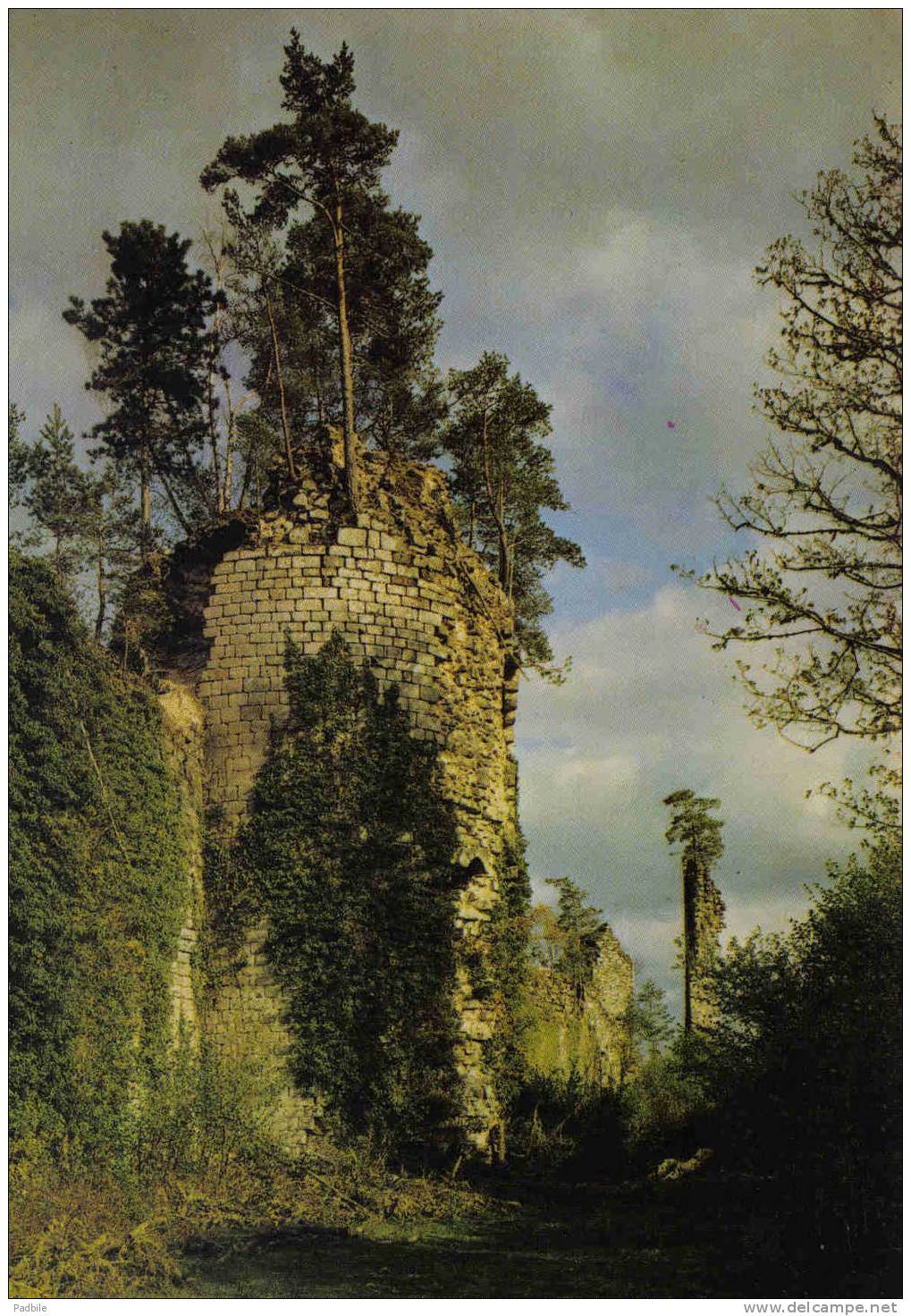 Carte Postale 19. Egletons  Les Ruines Du Chateau De Ventadour  Trés Beau Plan - Egletons