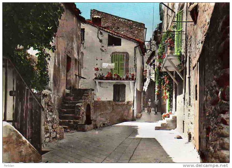 04.ENTREVAUX. Vue Sur Une Vieille Rue. Carte Dentelée. - Autres & Non Classés