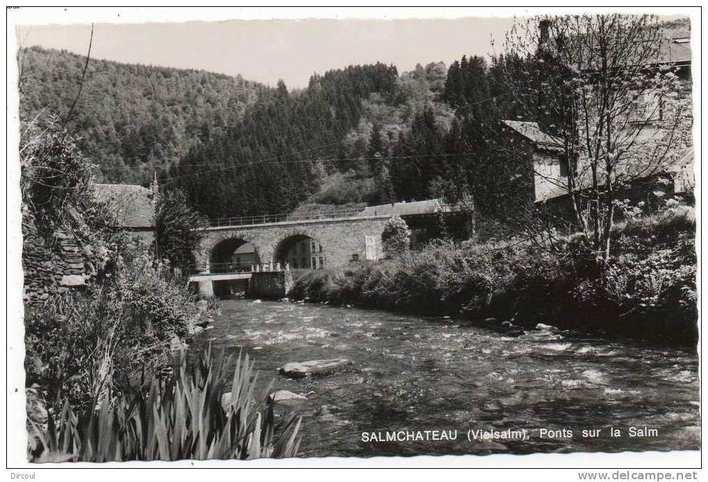 17920  -  Salmchateau   Ponts  Sur  La  Salm - Vielsalm