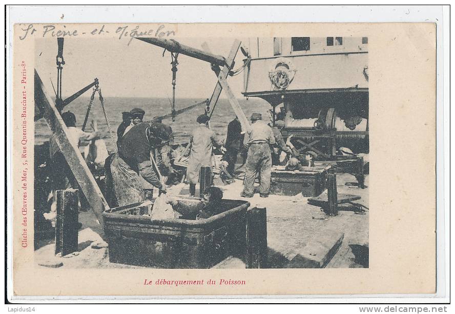 YS 864 /CPA -  SAINT PIERRE ET MIQUELON -LE DEBARQUEMENT DU POISSON - Saint-Pierre-et-Miquelon