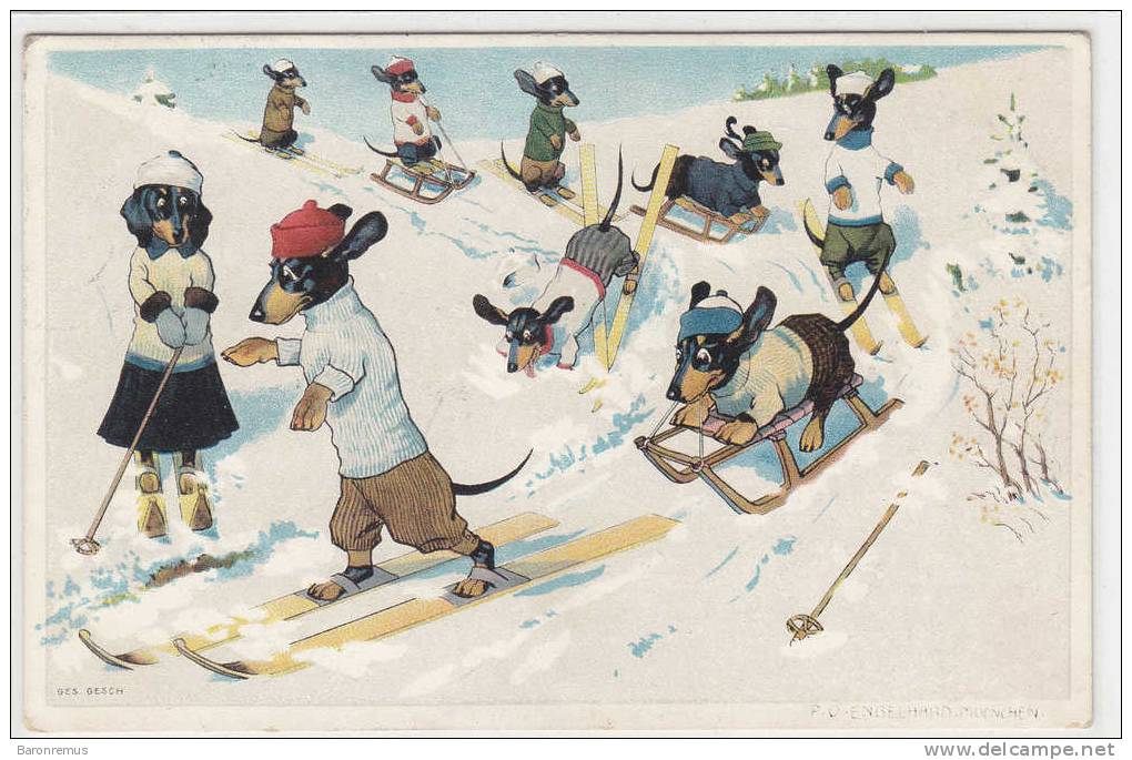 Dackel Beim Wintersport,  P.O. Engelhard, 1908    (110526) - Dogs