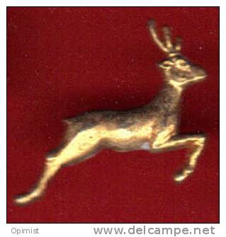 12606-cerf.chasse. - Dieren