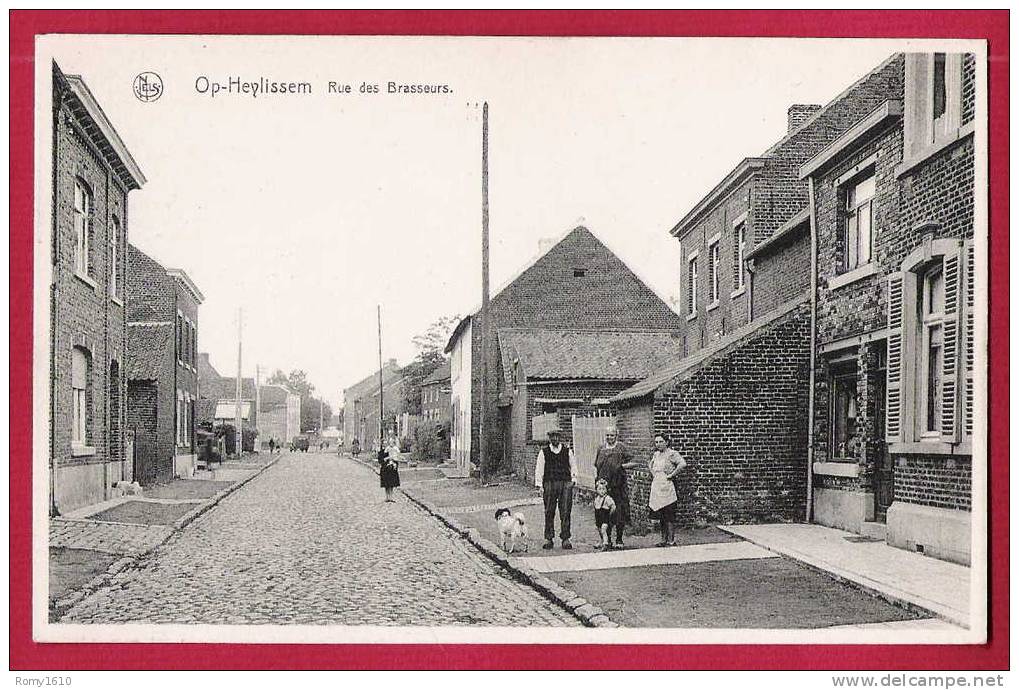 Op-Heylissem.  Opheylissem. Rue Des Brasseurs. Animée. - Helecine