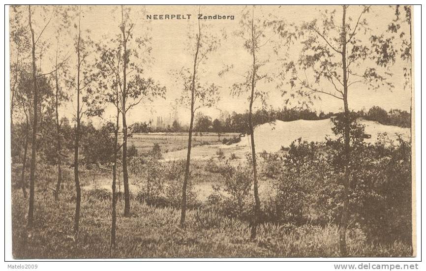 NEERPELT (3910)  Zandberg - Neerpelt