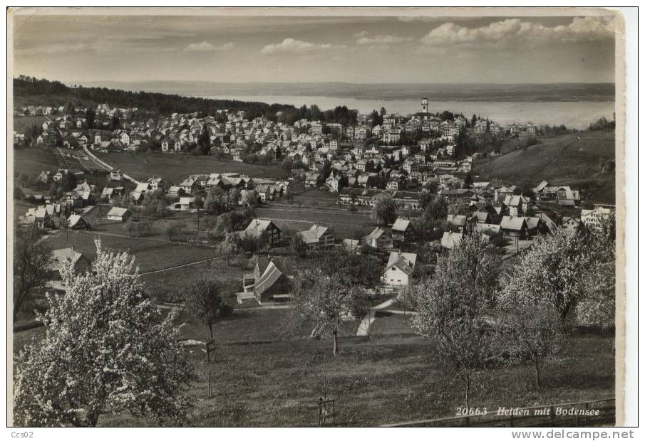 Heiden Mit Bodensee - Heiden