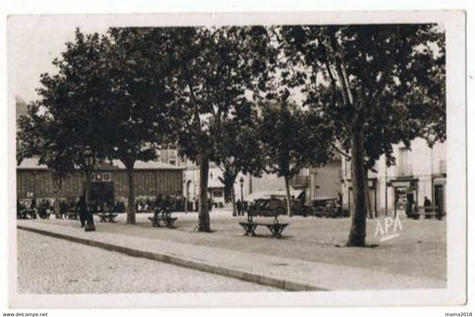 Mèze      Le Marché       Carte Photo - Mèze