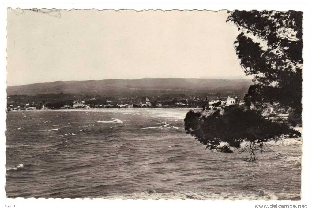 83 LES LECQUES De SAINT CYR - La Plage Vue De La Madrague - Les Lecques