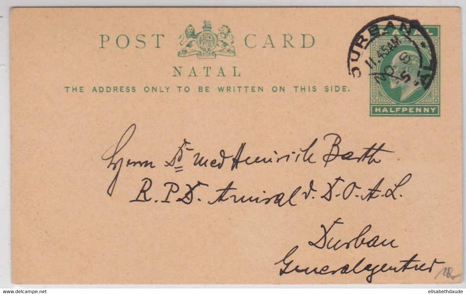 NATAL - 1905 - ENTIER CARTE POSTALE De DURBAN - Natal (1857-1909)