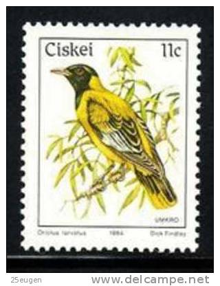 CISKEI 1984 BIRDS MNH - Ciskei