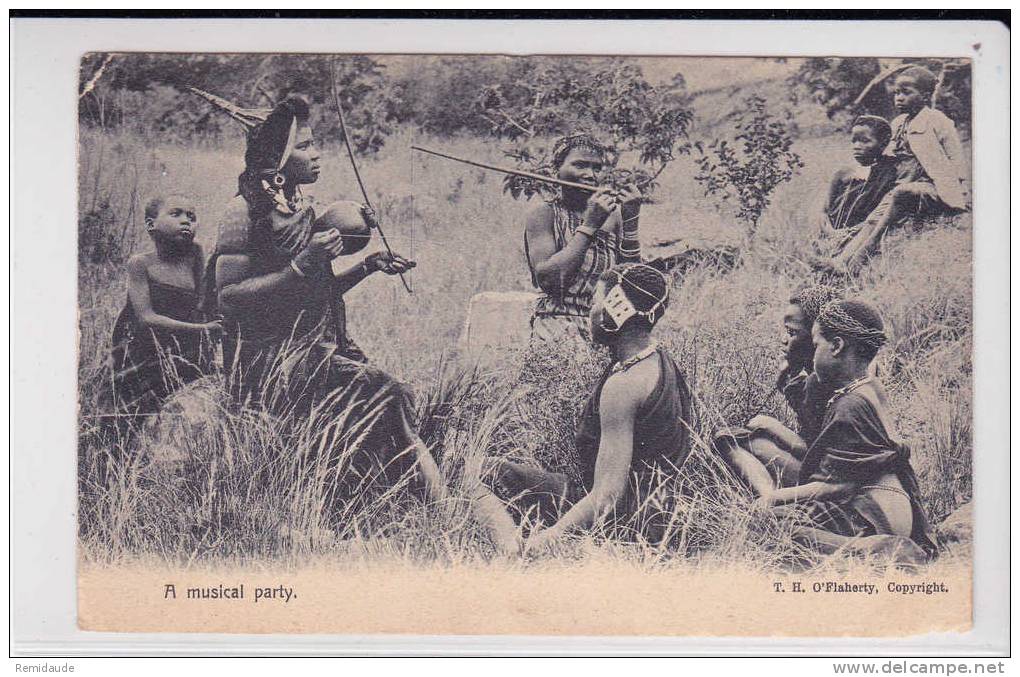 TRANSVAAL - 1912 - CARTE POSTALE (GROS PLAN  MUSICAL PARTY INDIGENE) De CAPE TOWN Pour ROTTELSDORF (GERMANY) - Transvaal (1870-1909)