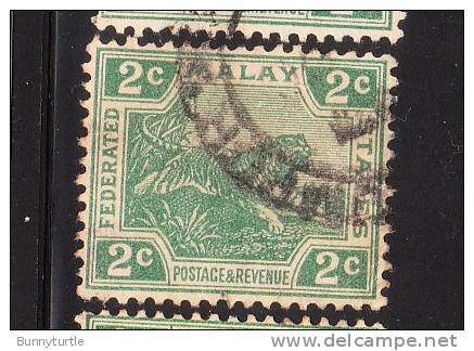 Federated Malay States 1922-32 Tiger 2c Used - Federated Malay States