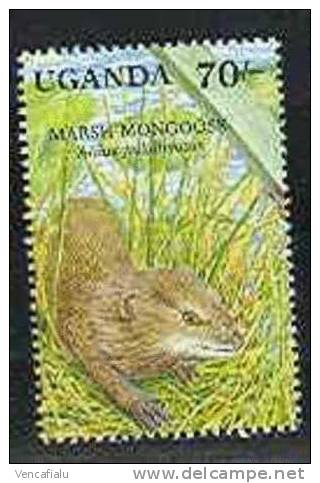 Uganda - Atilax Paludinosus , 1 Stamp, MNH - Roedores