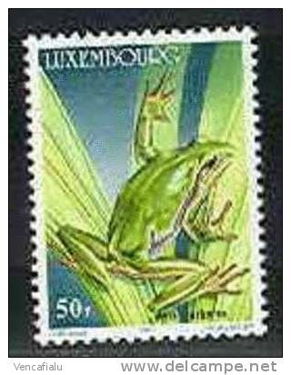 Luxemburge 1985 - Frog Hyla Arborea, 1 Stamp, MNH - Kikkers