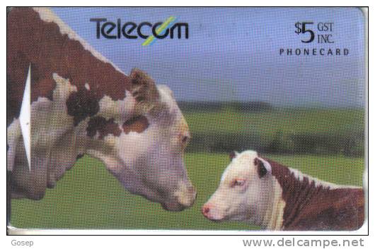 New Zealand-nz-g-90-hereford Cattle-(221b)-$5-used Card+1 Card Prepiad Free - Vaches