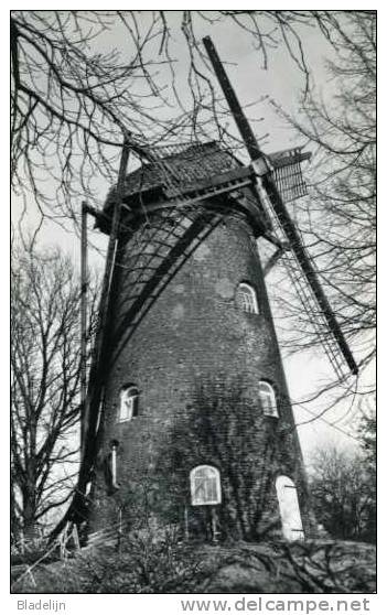 OELEGEM ~ Ranst (Antw.) - Molen/moulin - Historisch Beeld V.d. Stenen Molen Met Gebroken Wieken (1986). Mooie Close-up. - Ranst