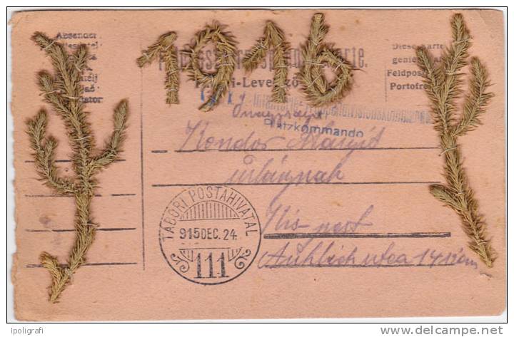 Hungary - 1915 - Feldpost Card, From Feldpost 111 (Tabori Postahivatal 111); Nice Mail Art Item. - Prima Guerra Mondiale