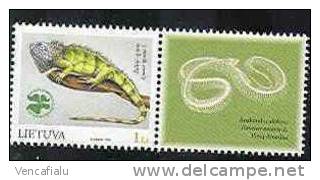 Lietuva 2004 - Snake In Edge - Eunectes Nataeus,1 Stamp With Edge, MNH - Serpents