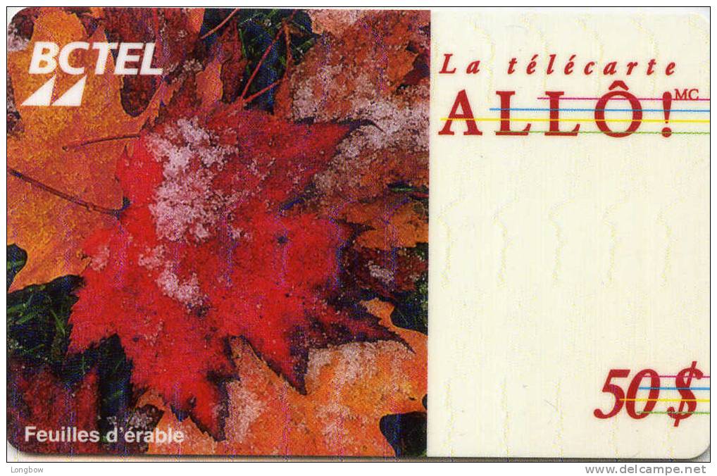 CANADA-ALLO PHONE CARD-FEUILLES D'ERABLE-50$ - Canada