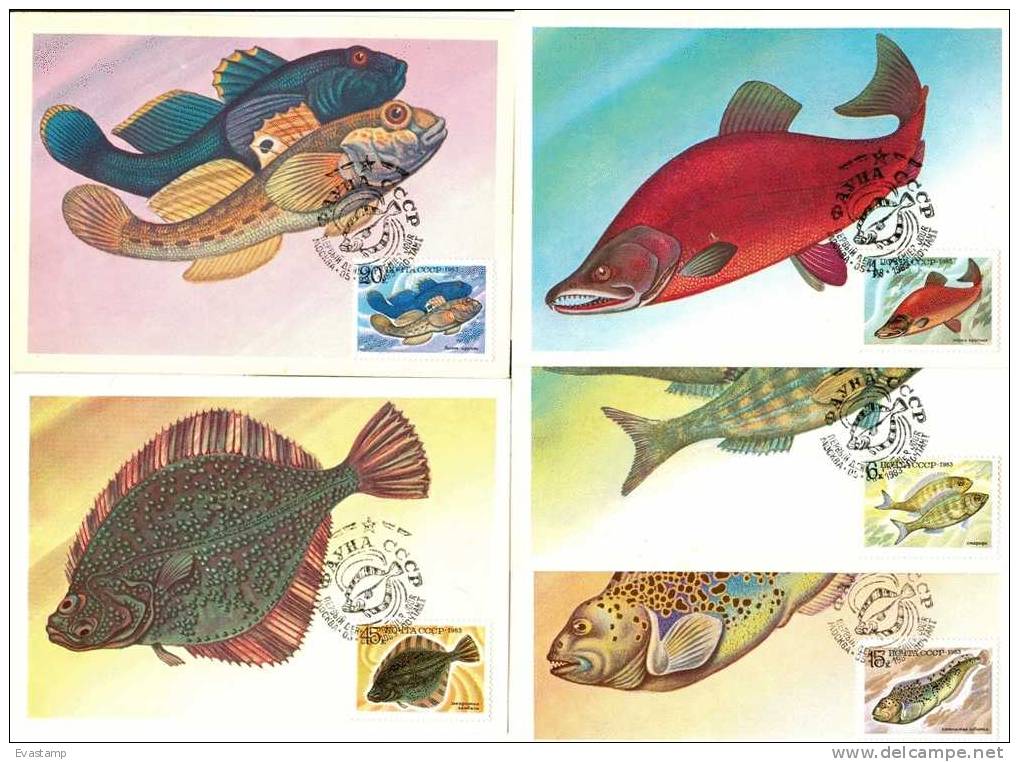 RUSSIA - Maximum Card Cpl.Set -1983. Food Fishes - Cartoline Maximum