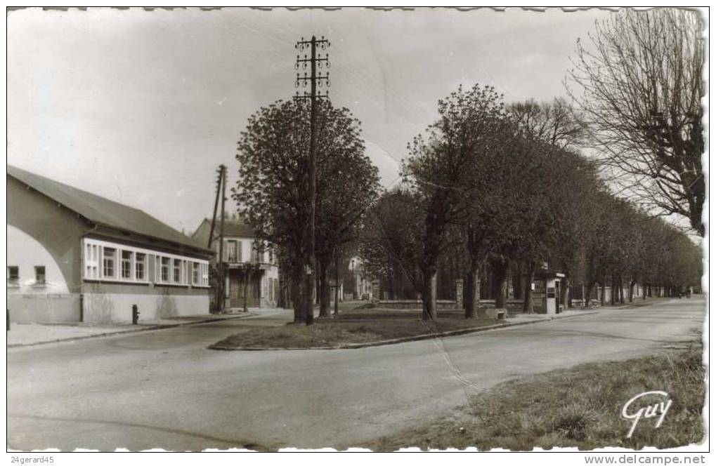 CPSM LE PLESSIS TREVISE (Val De Marne) - La PLace Des Fêtes Et L'Avenue Hardouin - Le Plessis Trevise