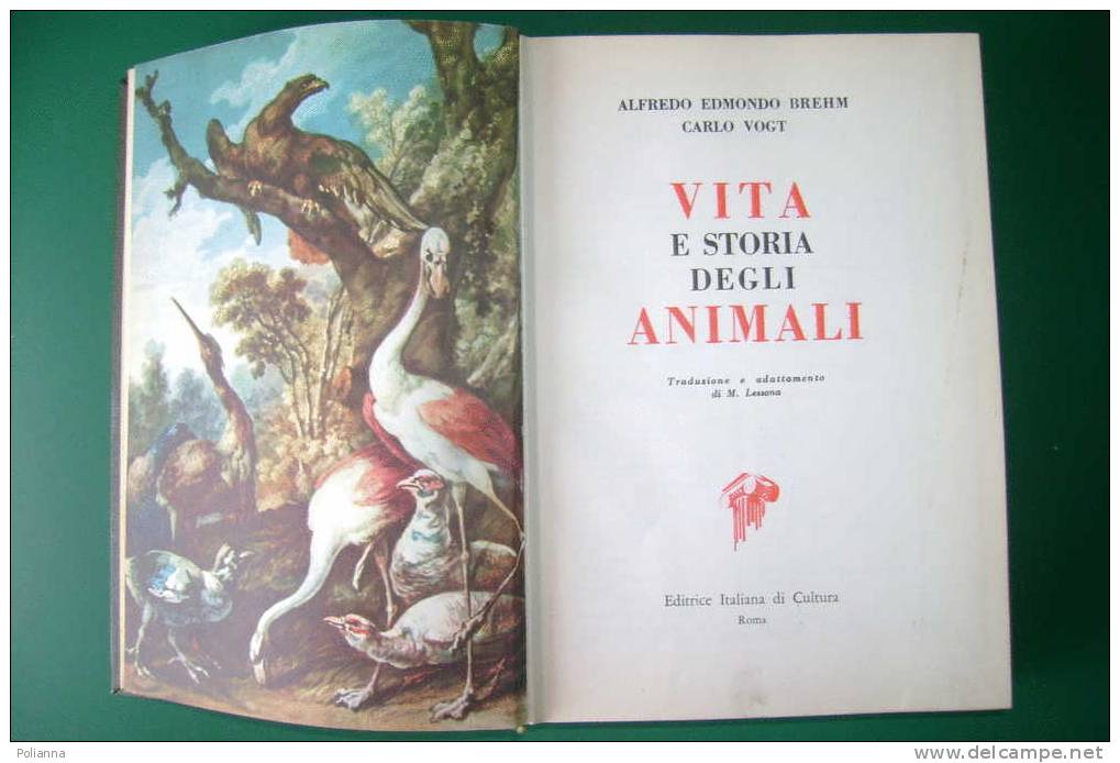 PDV/11 Brehm-Vogt VITA E STORIA DEGLI ANIMALI 1960/UCCELLI/PESCI/INSETTI/ARACNIDI - Animali Da Compagnia