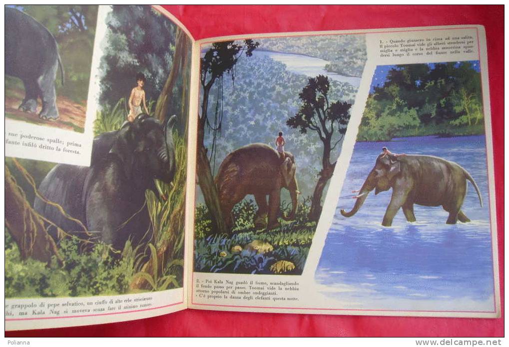 PDV/29 Kipling LIBRO DELLA GIUNGLA - TOOMAI DEGLI ELEFANTI Albo Rosa D´Oro 1951. Illustrazioni Di M.Leone - Old