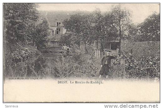 Diest  -  Le Moulin Du Ezeldijk - Diest