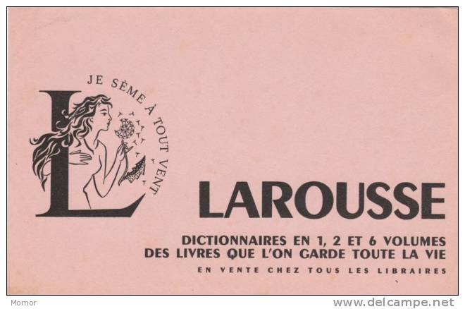 BUVARD   LAROUSSE Dictionnaires En 1,2 Et 6 Volumes - Cartoleria
