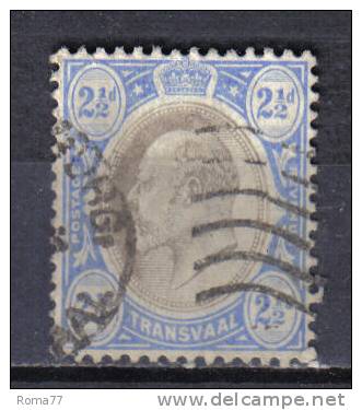 SS1103 - TRANSVAAL 1905 , 2 1/2 Penny N. 167 - Transvaal (1870-1909)