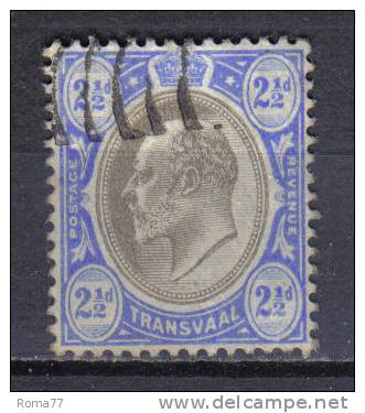 SS1107 - TRANSVAAL 1905 , 2 1/2 Penny N. 167 - Transvaal (1870-1909)