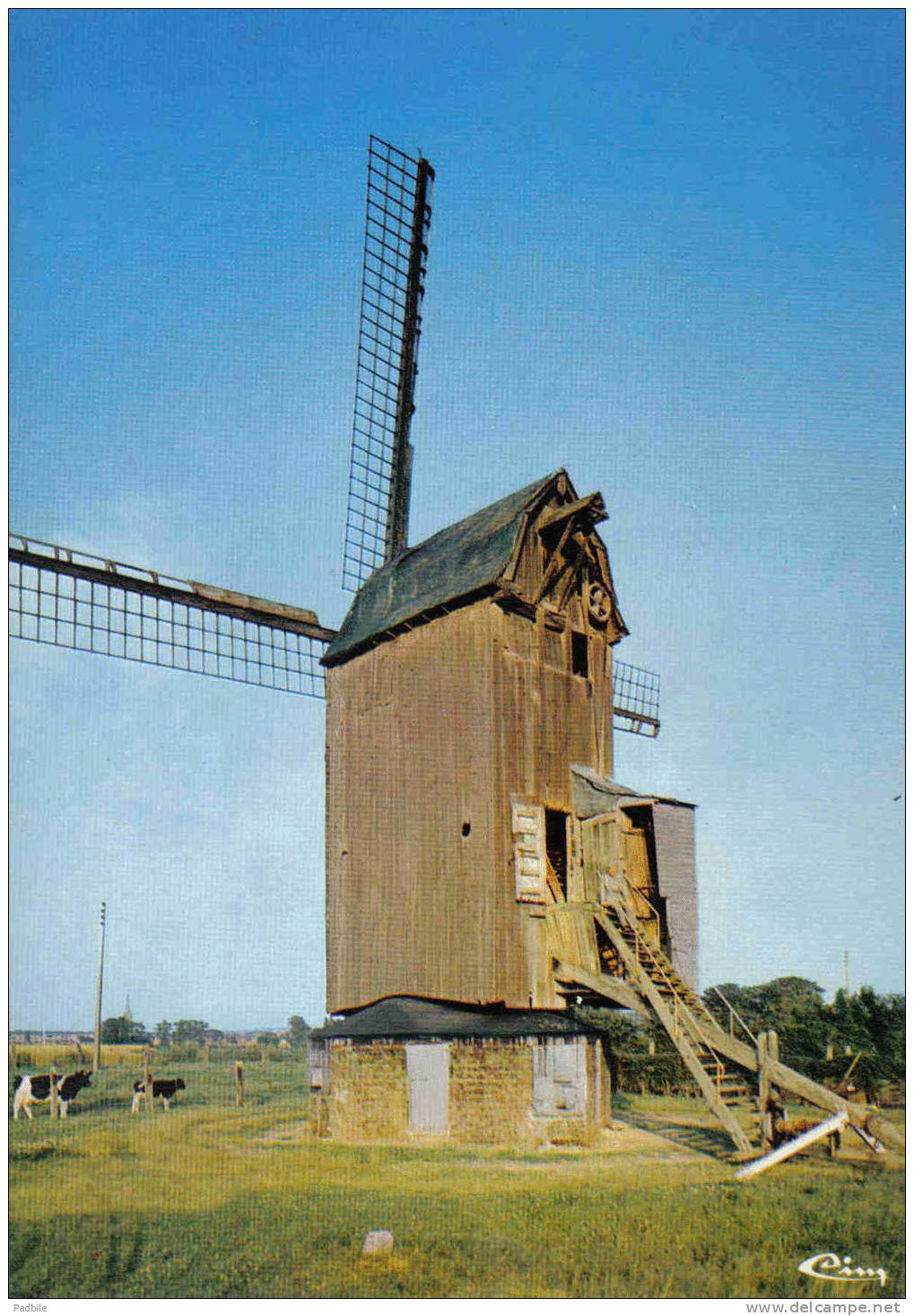 Carte Postale 59. Steenvoorde  Drieuermeulen  Moulin "Dereeper"  Trés Beau Plan - Steenvoorde