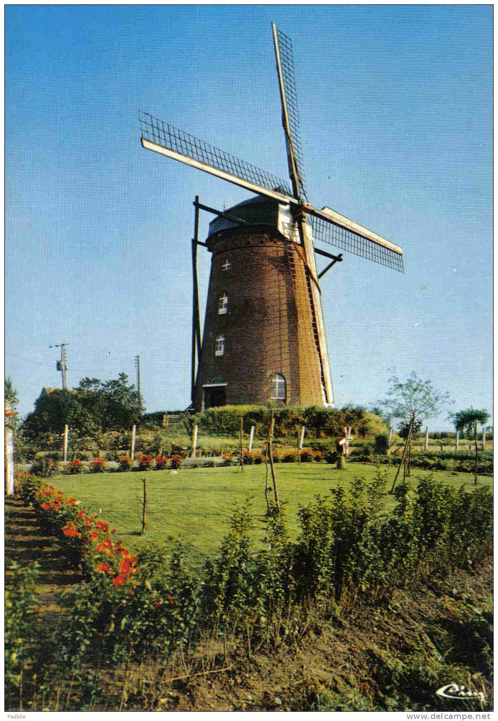 Carte Postale 59. Steenvoorde  Moulin Saint-Arnould  Steenmeulen  Trés Beau Plan - Steenvoorde