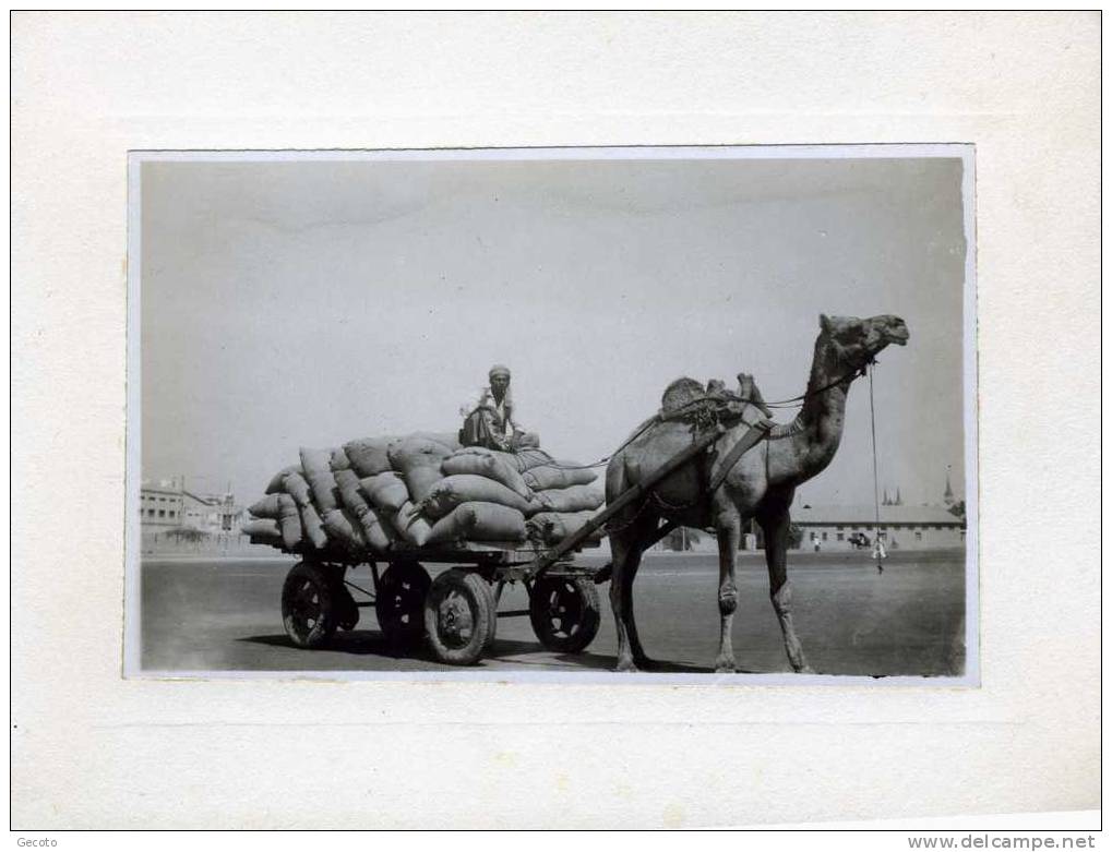 Karachi - Voeux Pour 1952/1953 - Pakistán