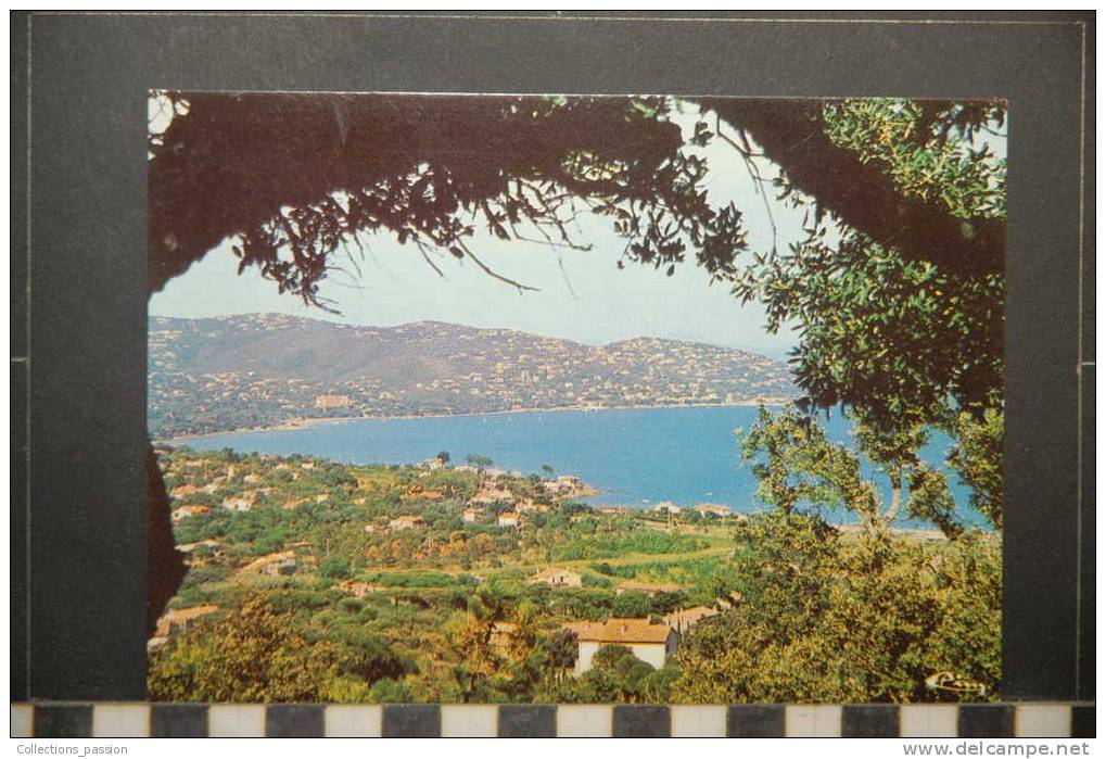 SAINTE MAXIME VUE PANORAMIQUE SUR LES ISSAMBRES - Sainte-Maxime