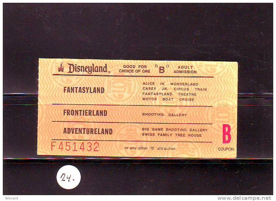 Disney Passport Disneyland ETATS-UNIS (24) PASS * TICKET * ADULT * VINTAGE DISNEY 1977 USA ORLANDO - Disney