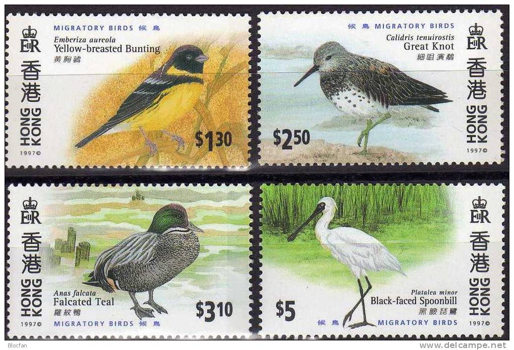 Naturschutz Zugvögel 1997 Dienst An Der Gemeinschaft Hongkong 811/4 ** 4€ Vögel Ammer Enten WWF Birds Set From HONG KONG - Colecciones & Series