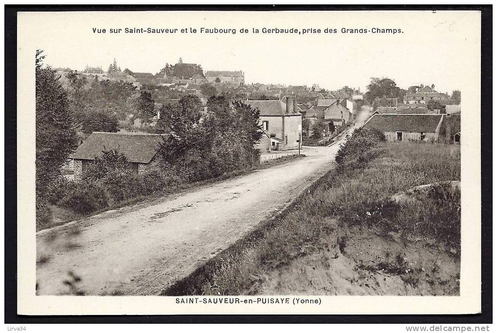 CPA  ANCIENNE- FRANCE- ST-SAUVEUR-EN-PUISAYE (89)- LE FAUBOURG DE LA GERBAUDE PRISE DES GRANDS-CHAMPS- RUE CENTRALE - Saint Sauveur En Puisaye