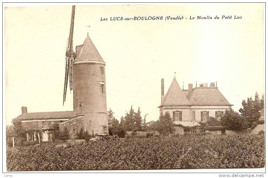 D85 - LES LUCS SUR BOULOGNE - LE MOULIN DU PETIT LUC - Les Lucs Sur Boulogne