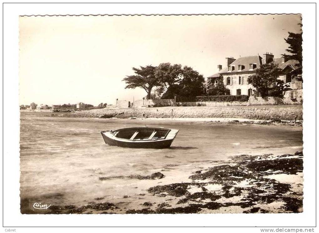 BRIGNOGAN - Plage Du Port - Brignogan-Plage