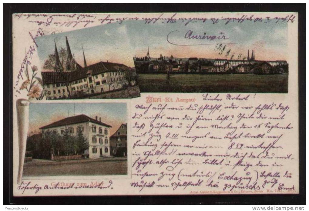 AK Muri - Gasthaus Zum Adler + Ortsansicht + Gebäude - Gelaufen Am 12.9.1905 - Muri