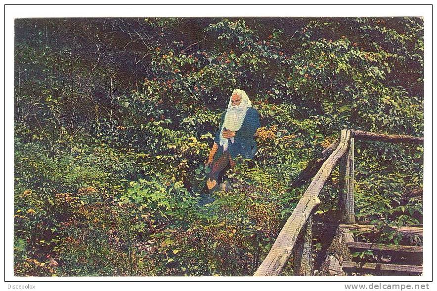 XW 336 Rip Van Winkle - Catskill Mountains - Old Mini Card / Viaggiata 1968 - Catskills