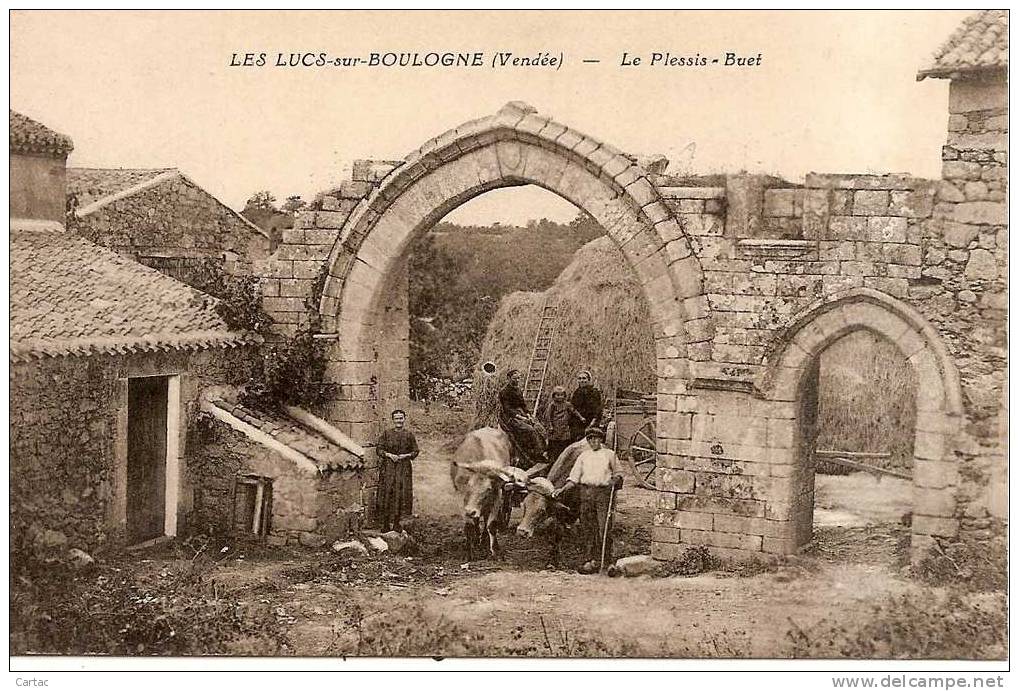 D85 - LES LUCS SUR BOULOGNE - LE PLESSIS BUET - Les Lucs Sur Boulogne
