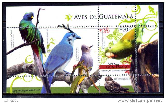 GUATEMALA / AVES Birds Vögel / C3306 - Otros & Sin Clasificación